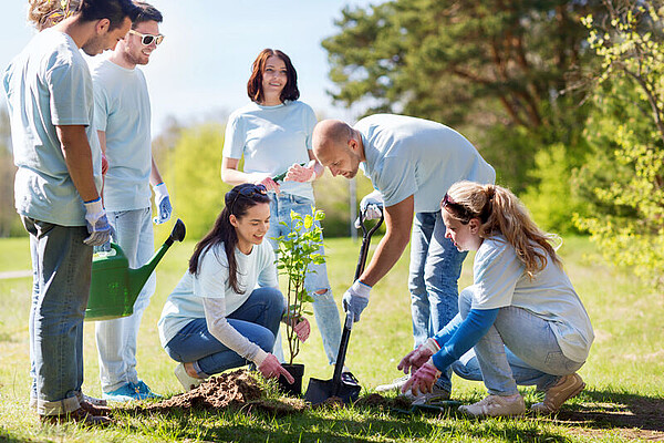 Junge Menschen pflanzen einen Baum